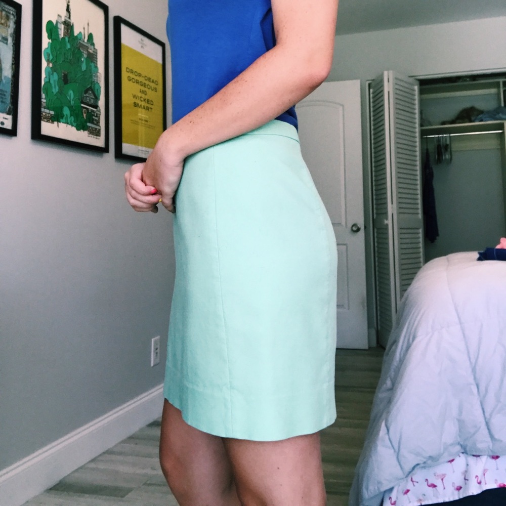 Mint j.crew skirt💫